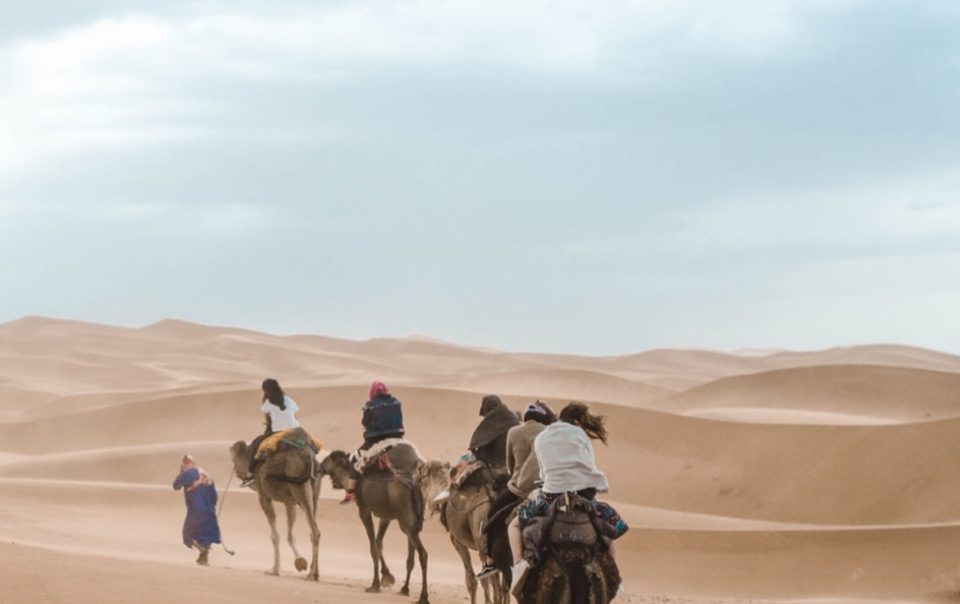 Camel Excursion