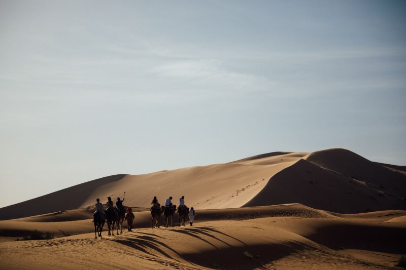 A group is rides the camels through the desert in Morocco having fun and enjoying the peaceful desert.