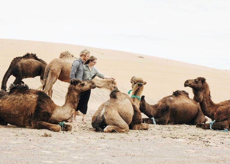 Chico y chica de paseo con los camellos por el desierto de Marruecos