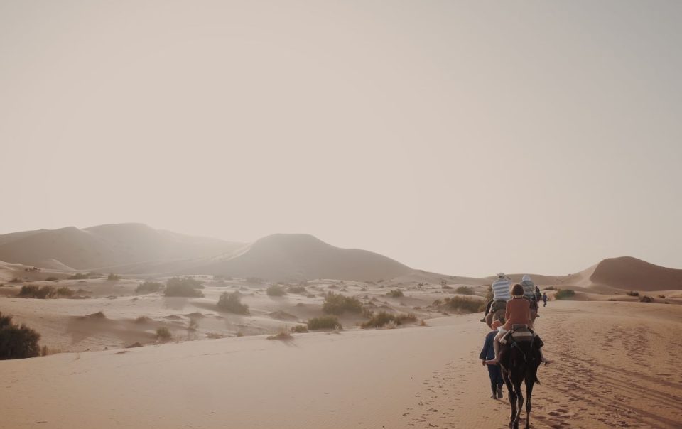 Paseo de un grupo con camellos por el desierto de Marruecos