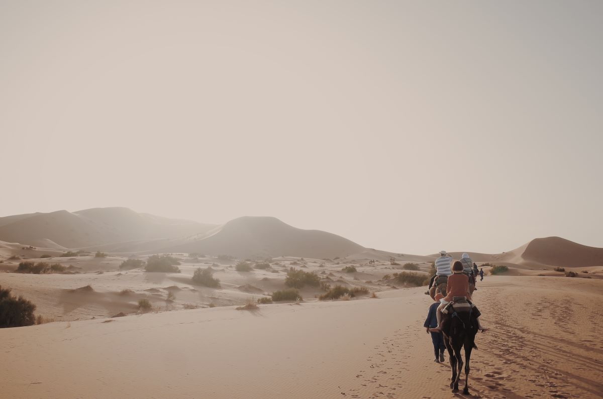 Paseo de un grupo con camellos por el desierto de Marruecos