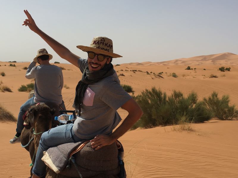 Paseo en camellos en el desierto