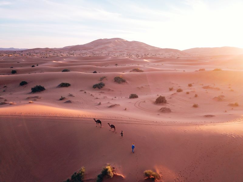 Trip to the Moroccan desert