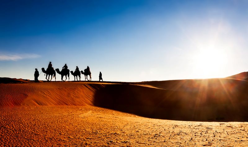 Temperatures in the Moroccan desert
